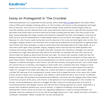 Essay on Protagonist in ‘The Crucible’