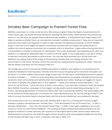 Smokey Bear Campaign to Prevent Forest Fires
