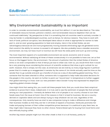 Why Environmental Sustainability is so Important