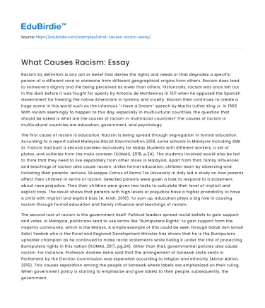 What Causes Racism: Essay