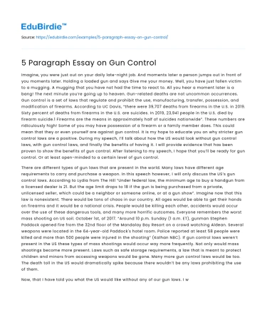 5 Paragraph Essay on Gun Control