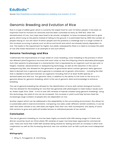 Genomic Breeding and Evolution of Rice