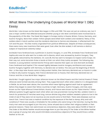 What Were The Underlying Causes of World War 1: DBQ Essay