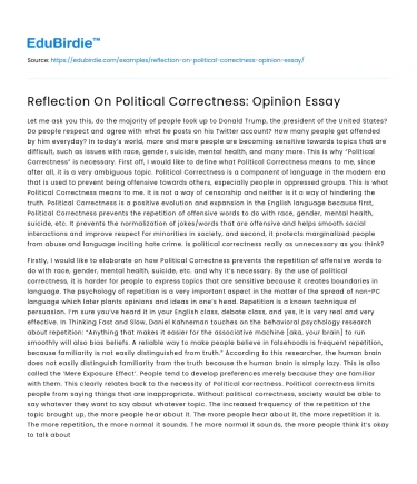 Reflection On Political Correctness: Opinion Essay