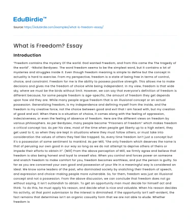 What is Freedom? Essay