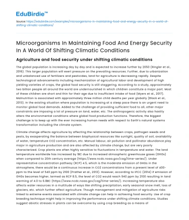 Microorganisms in Food & Energy Security Amid Climate Change