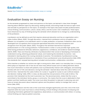 Evaluation Essay on Nursing