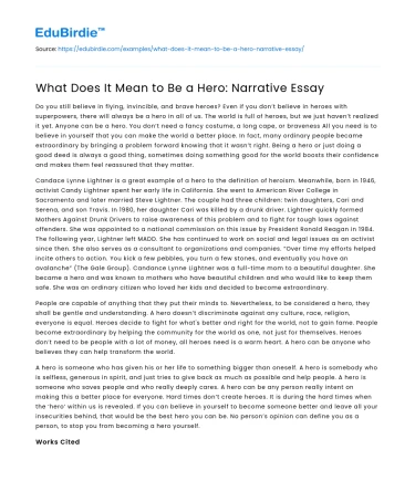 What Does It Mean to Be a Hero: Narrative Essay