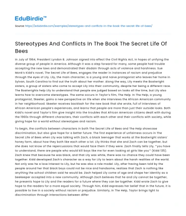 Stereotypes And Conflicts In The Book The Secret Life Of Bees