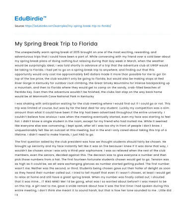 The Sunshine State: An Academic Perspective on My Spring Break