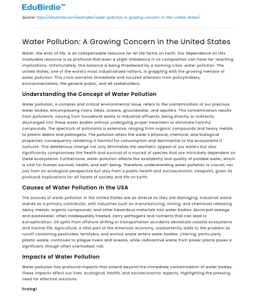 Water Pollution: A Growing Concern in the United States