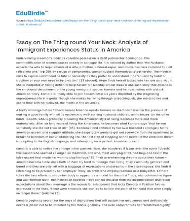 Immigrant Experiences in America: Analysis