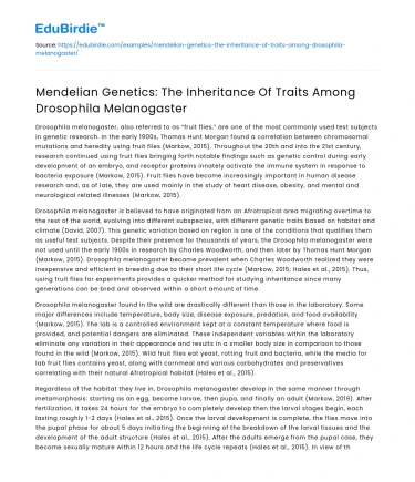 Mendelian Genetics in Drosophila Melanogaster