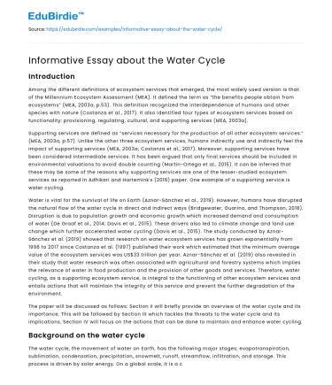 Informative Essay about the Water Cycle
