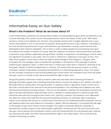 Informative Essay on Gun Safety