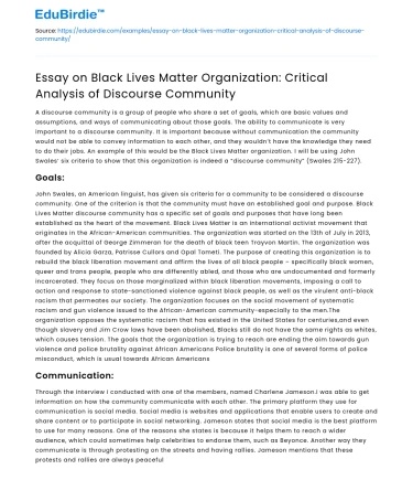 Critical Analysis: Black Lives Matter Organization & Discourse Community