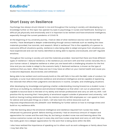 Short Essay on Resilience