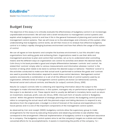 Budget Essay
