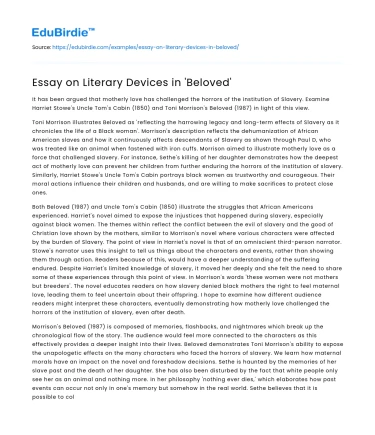 Essay on Literary Devices in ‘Beloved’