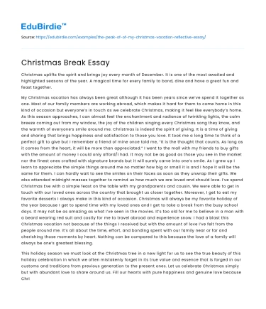 Christmas Break Essay