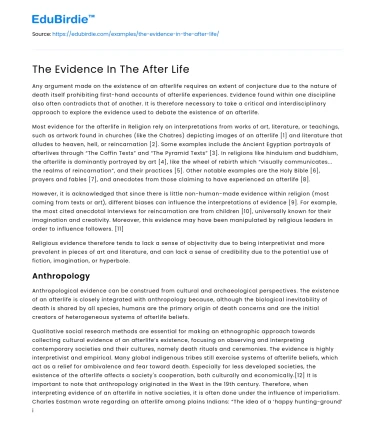 The Evidence In The After Life