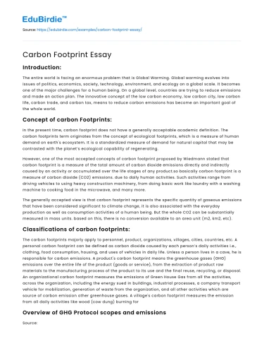 Carbon Footprint Essay