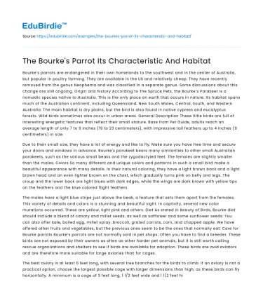 The Bourke’s Parrot: Traits and Environment