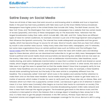 Satire Essay on Social Media