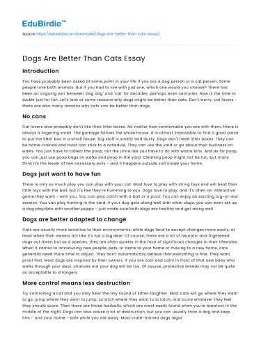 Dogs Are Better Than Cats Essay