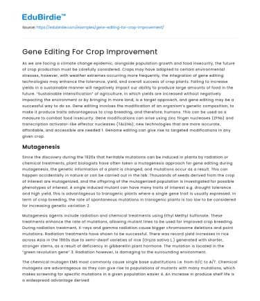 Gene Editing For Crop Improvement