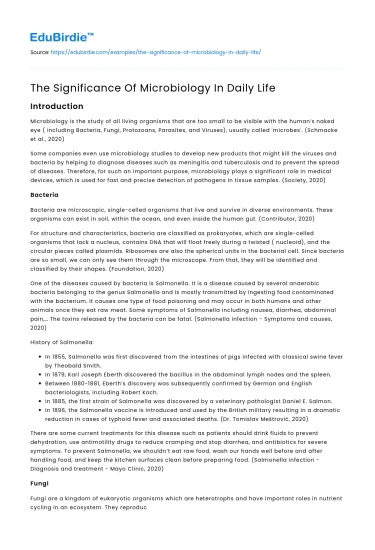 The Significance Of Microbiology In Daily Life