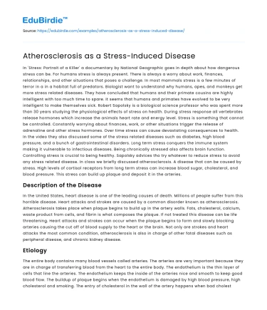 Atherosclerosis as a Stress-Induced Disease