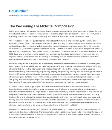The Reasoning For Midwife Compassion