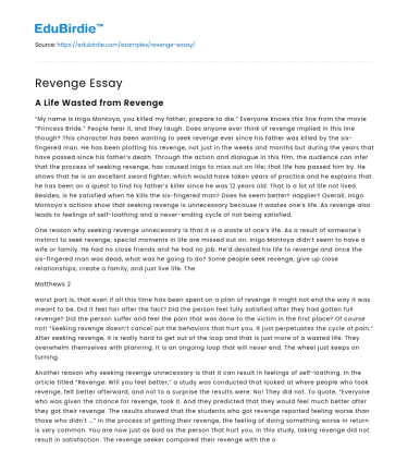 Revenge Essay