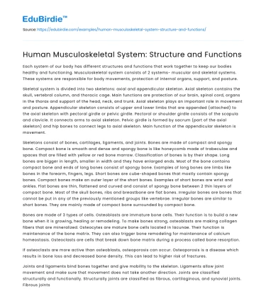 Human Musculoskeletal System: Structure and Functions