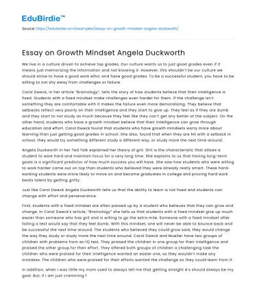 Essay on Growth Mindset Angela Duckworth
