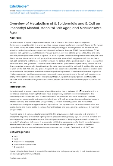 Metabolism of S Epidermidis and E Coli on Various Agars