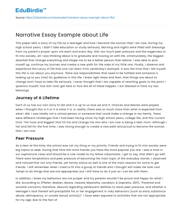 Narrative Essay Example about Life