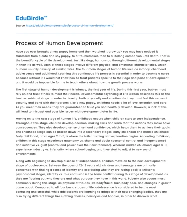 Process of Human Development