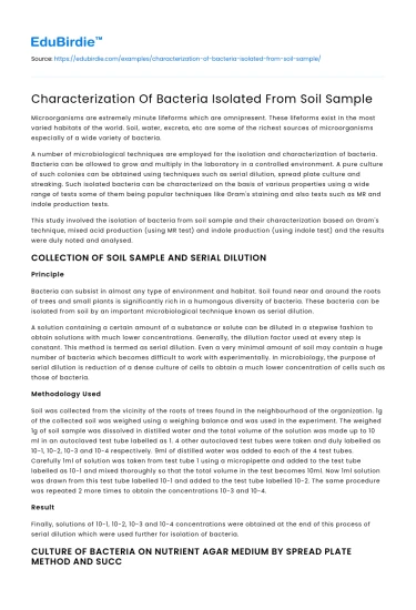 Characterization Of Bacteria Isolated From Soil Sample