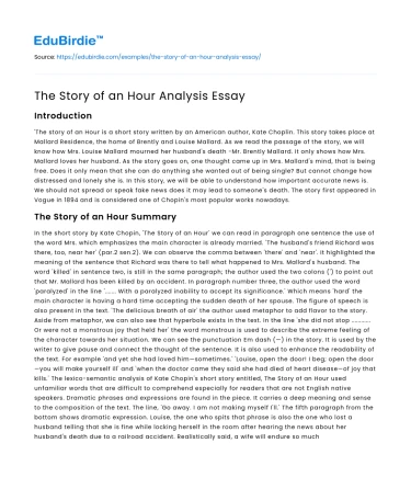 The Story of an Hour Analysis Essay