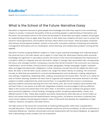 What Is the School of the Future: Narrative Essay