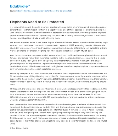 Elephants Need to Be Protected