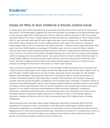 Essay on Why Is Gun Violence a Social Justice Issue