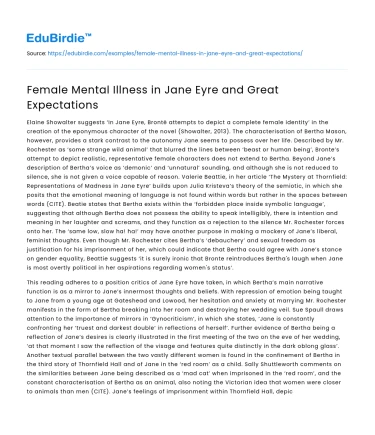 Female Mental Illness in Jane Eyre and Great Expectations