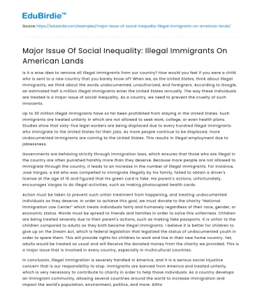 The Plight of Illegal Immigrants in America