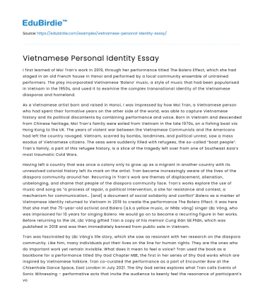 Vietnamese Personal Identity Essay