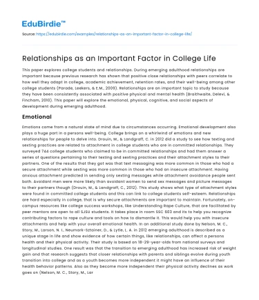 Relationships as an Important Factor in College Life