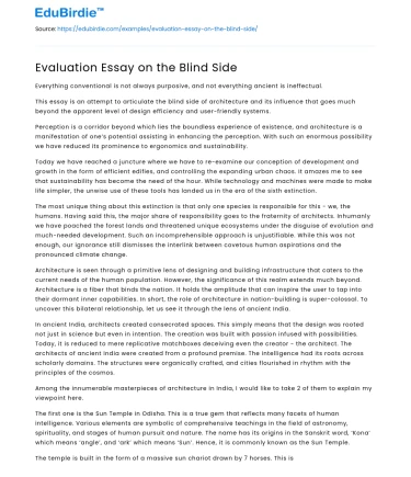 Evaluation Essay on the Blind Side