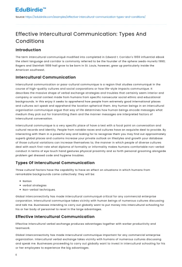 Intercultural Communication: Strategies and Preconditions